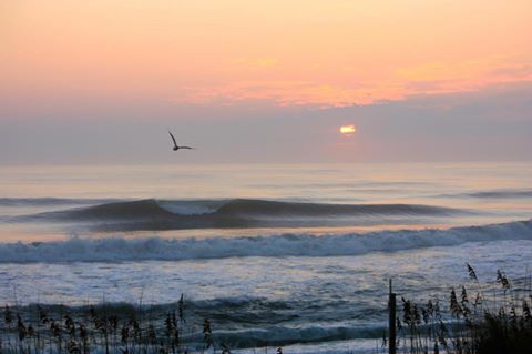 staycation in the OBX