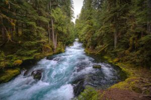 Bend Oregon Property Manager Arrived